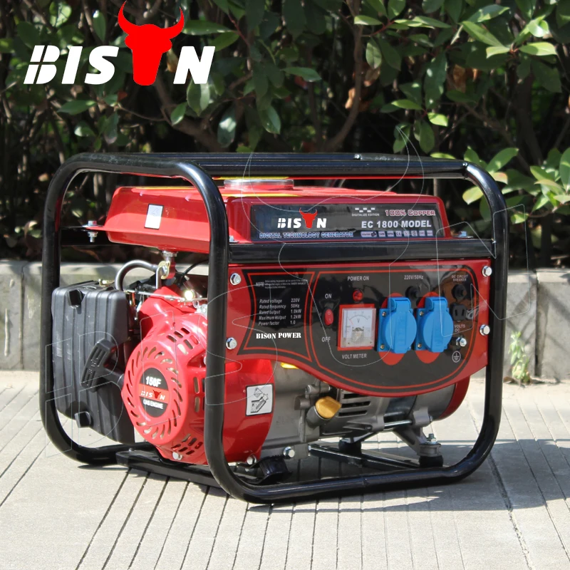Bison China 1Kw 50Hz 220V Dc Low Rpm Electric Mini Power Gas Gasoline Generator
