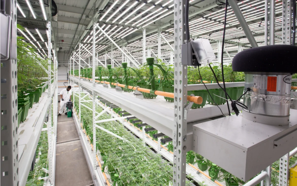 Irrigation Hydroponics Equipment Indoor Growing Rack Systems