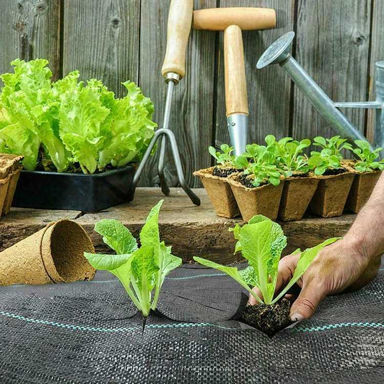 Пластиковый сплетенный ПП земной покров циновки засорителя сорняков циновок для контроля травы и воды остановки