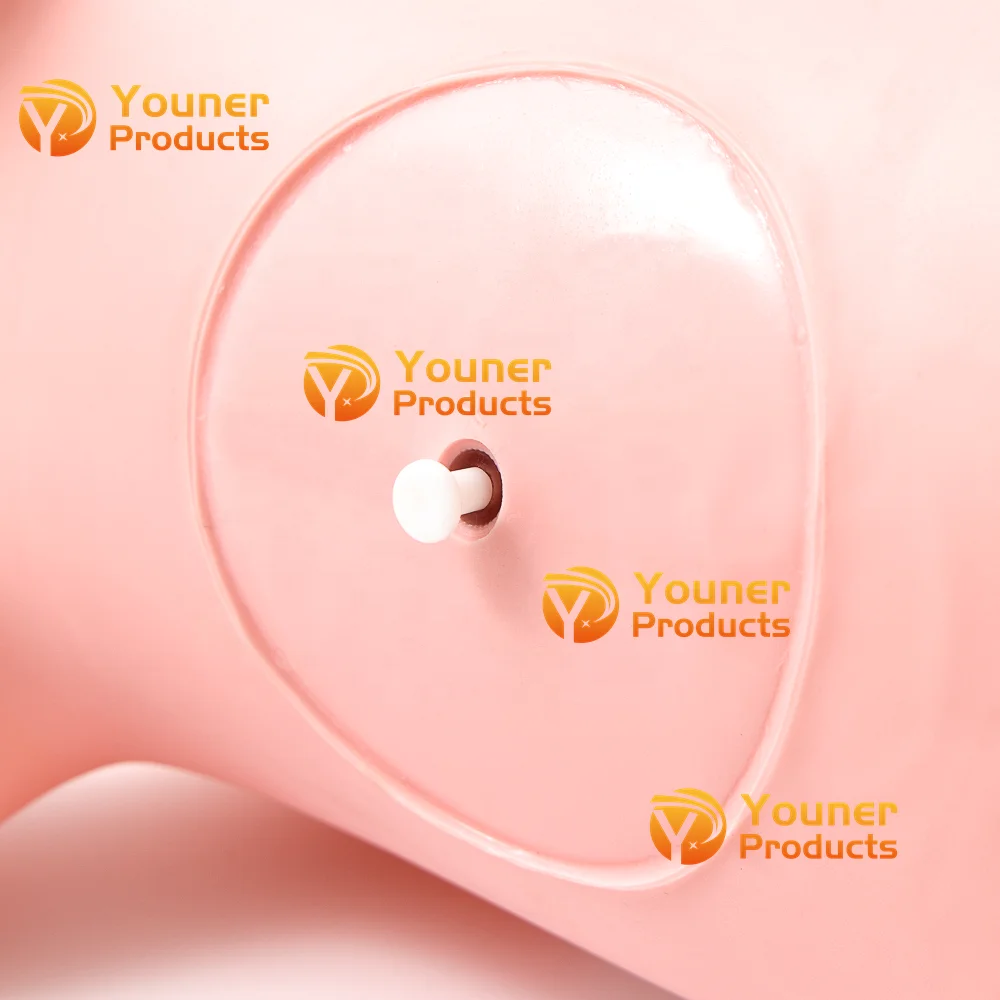 Inflatable Giraffe Hopper Bouncy Ride on Rubber Bouncing Animal Toys for Kids OEM /ODM