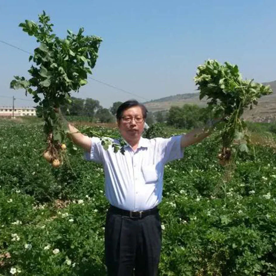 plant growth regulator pgr 4-cpa 4 cpa 4cpa 98%TC