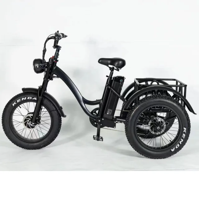 Электрический трехколесный велосипед 48V12.8Ah 500W Толстые шины электрический elektrycz