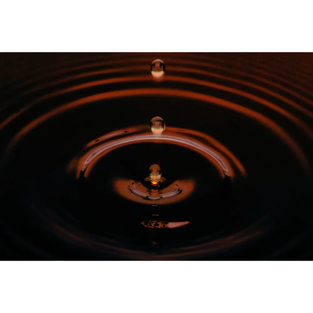 Japan full flavour all-purpose dried fish noodle seasoning with soy sauce