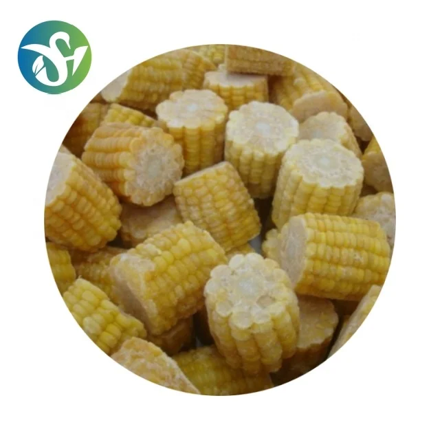Wholesale IQF Frozen Sweet Corn Price on Cob Cut Sweet Corn Cob Cut Frozen Frozen Vegetables
