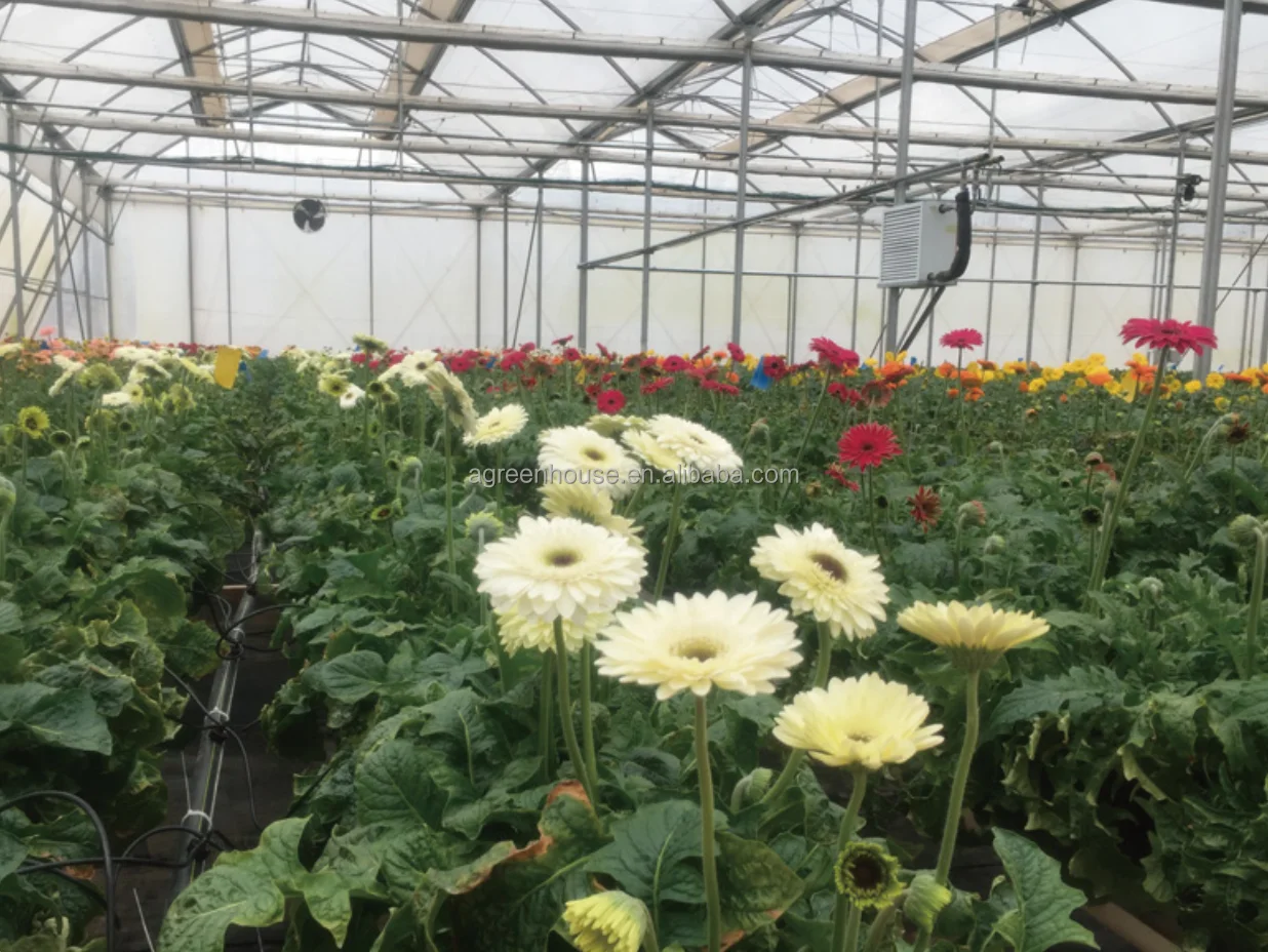 2022 Drip Irrigation Intelligent Water Fertilizer Machine for Agriculture Intelligent Fertilizer System