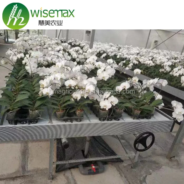 Hydroponics plastic growing table seeding bed casters rolling benches