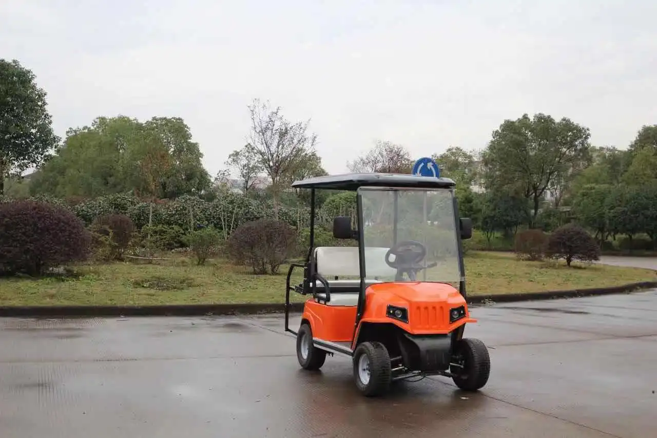 WELIFTRICH Brand new Efficient Street Legal Golf Carts 48v Go Kart with low price