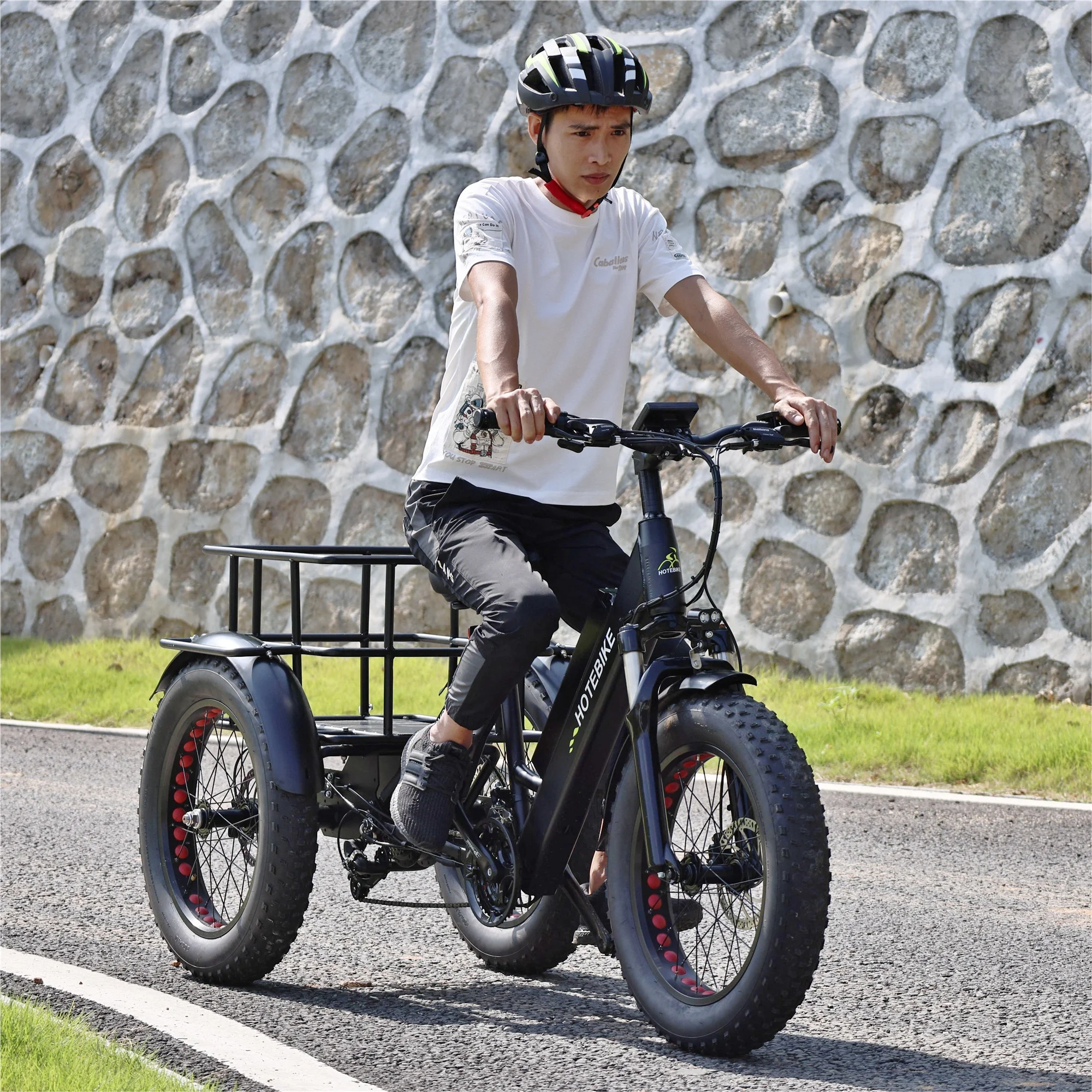 Aluminum Frame Electric Cargo Bike Professional Supplier Electric Cargo Tricycle 48V 500W Motor 3 Wheel Electric Cargo Bike
