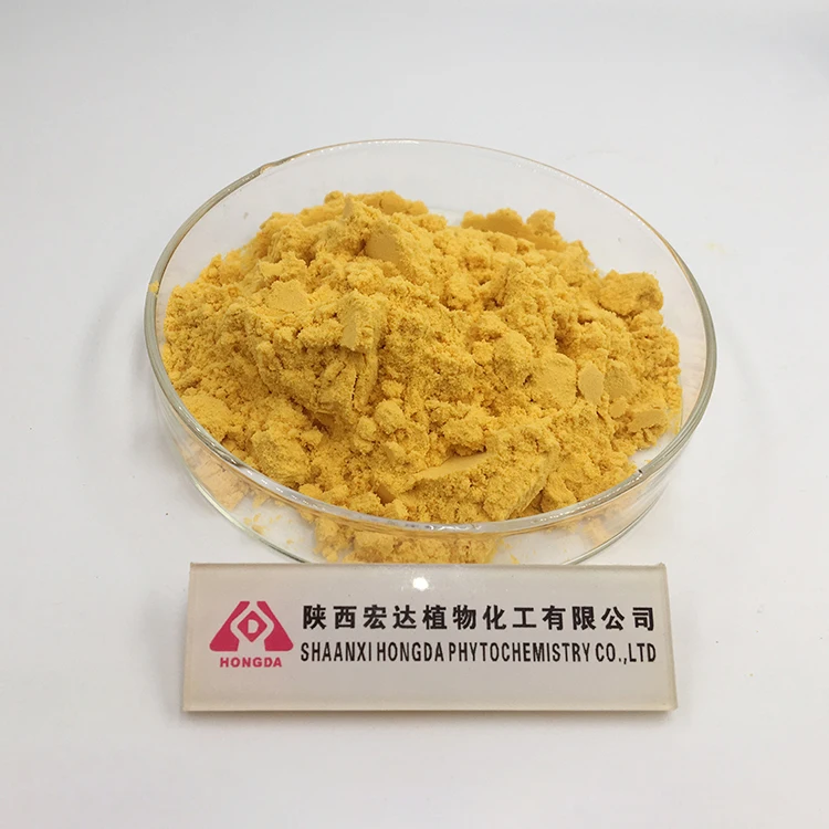 Best Quality Sea Buckthorn Fruit Extract Juice Powder Chinese Sea Buckthorn Powder