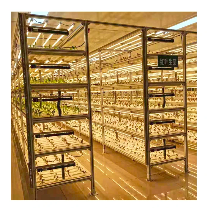 Гидропонные вертикальные системы выращивания фермы