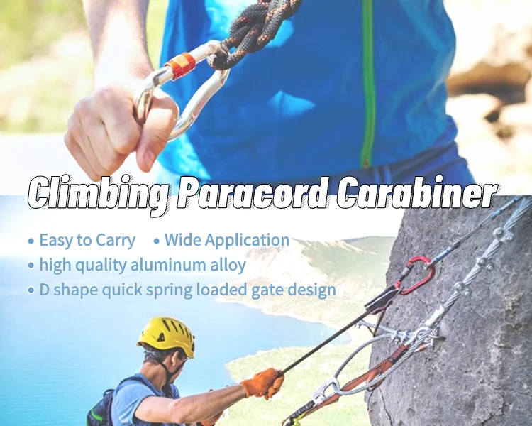 Factory Wholesale Customization Cute Dog Leash Outdoor Traveling Heart Shaped Aluminum Alloy Hammock Keychain Clip Carabiner