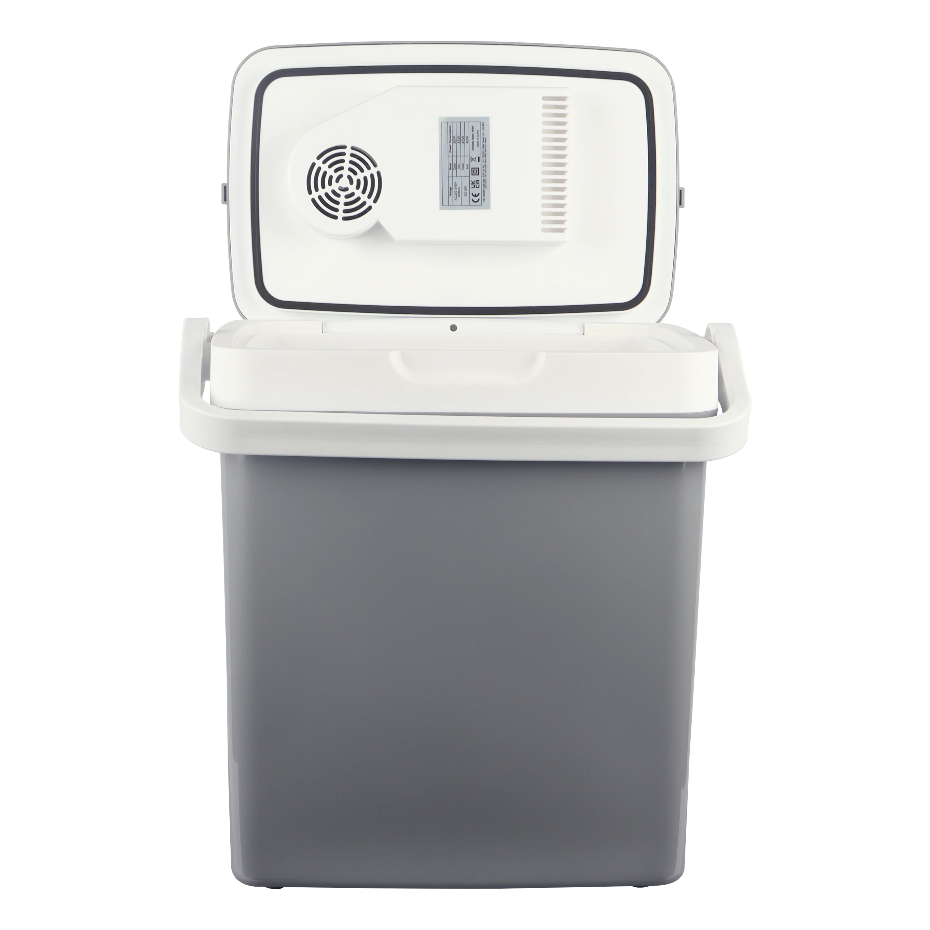 Hot Sale 21L AC 220V DC 12v Portable Handle Car Home Mini Refrigerator Cooler Box Camping Car Fridge Manufacturer