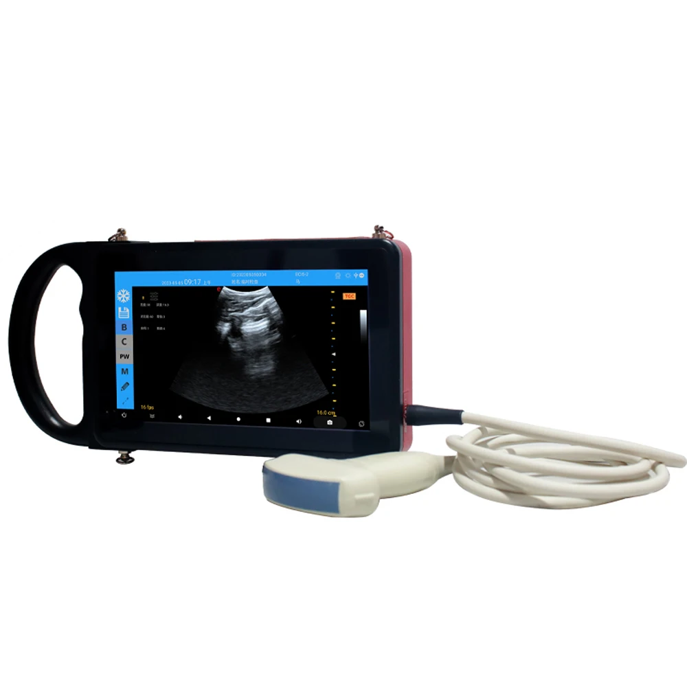 VS-V554 IPX6 Waterproof Electronic Ultrasonic Probe Accurate Detection Lightweight Portable Veterinary Ultrasound Scanner