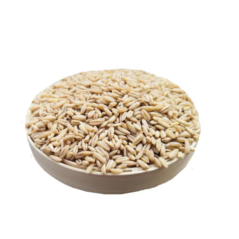 
Factory Directly Supply Nutritious Dark Gold Naked Oats For Sale 