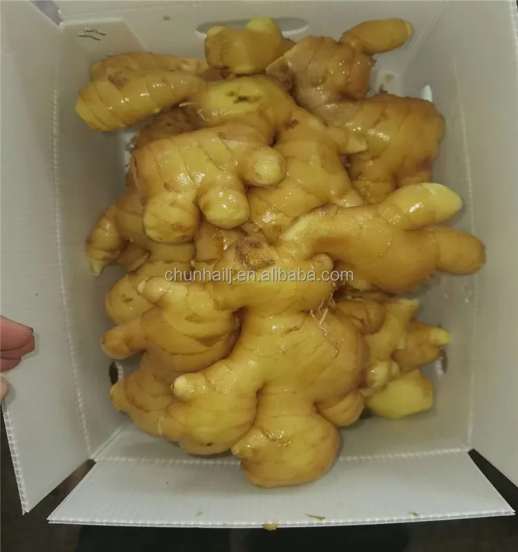 fresh ginger 1 (8).jpg