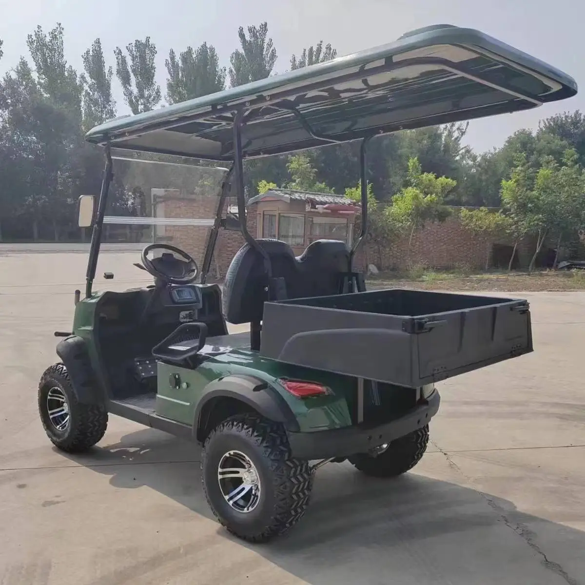 New Designed Factory Price 2+4 Seater Electric Lifted Buggy Hunting Cart with bucket 4 Wheel Drive Custom Street Legal