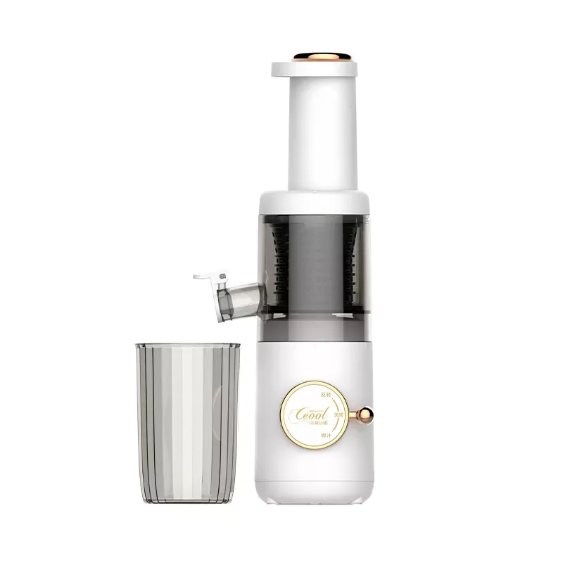 New design original juicer household automatic slag juice separation filter-free slow juicer