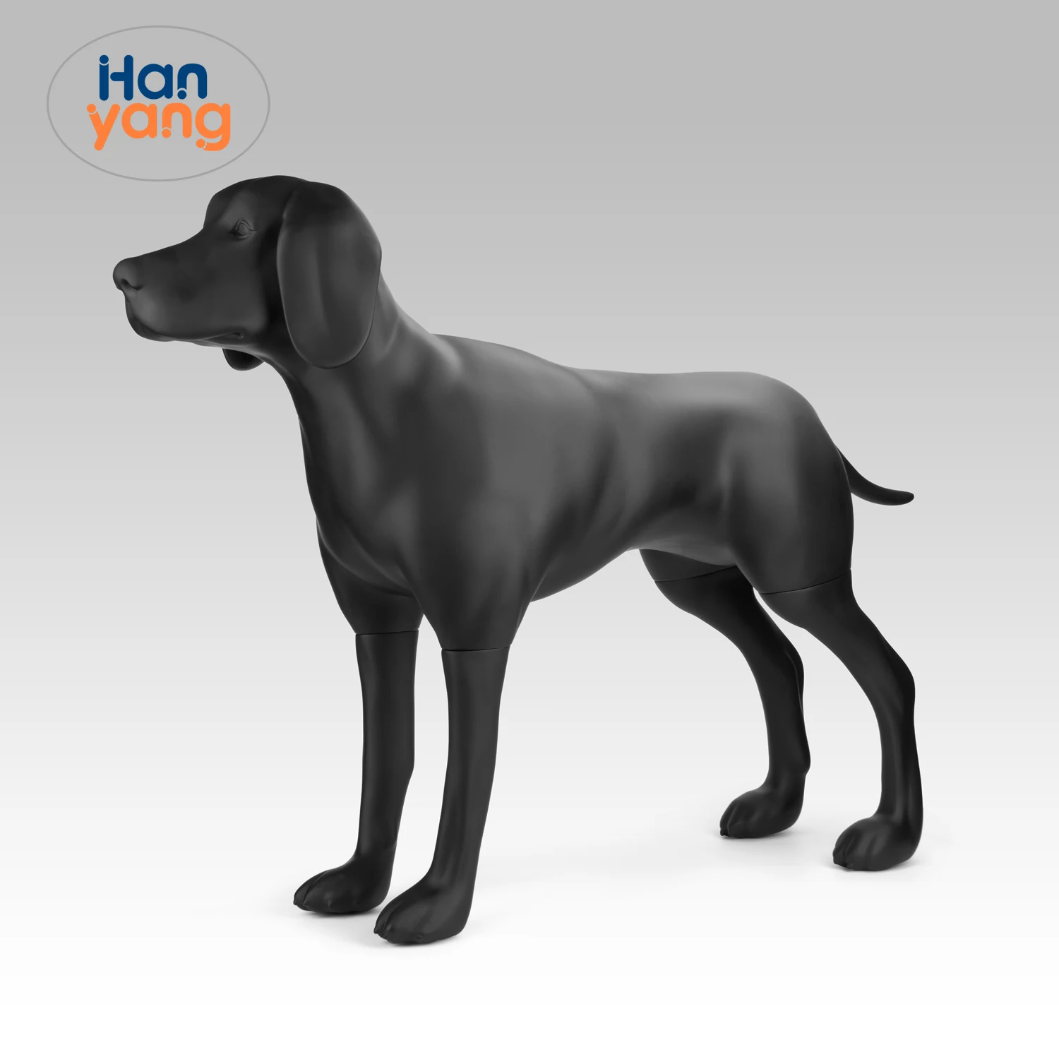 HanYang OEM Custom big size White Black Dog Model FiberGlass Weimaraner large dog mannequin For Pet display clothes