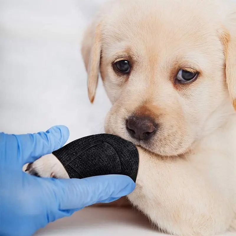 Non Woven Elastic Self-adhesive Bandage Athletic Sports Tape Cohesive Elastic Bandage Vet Wrap