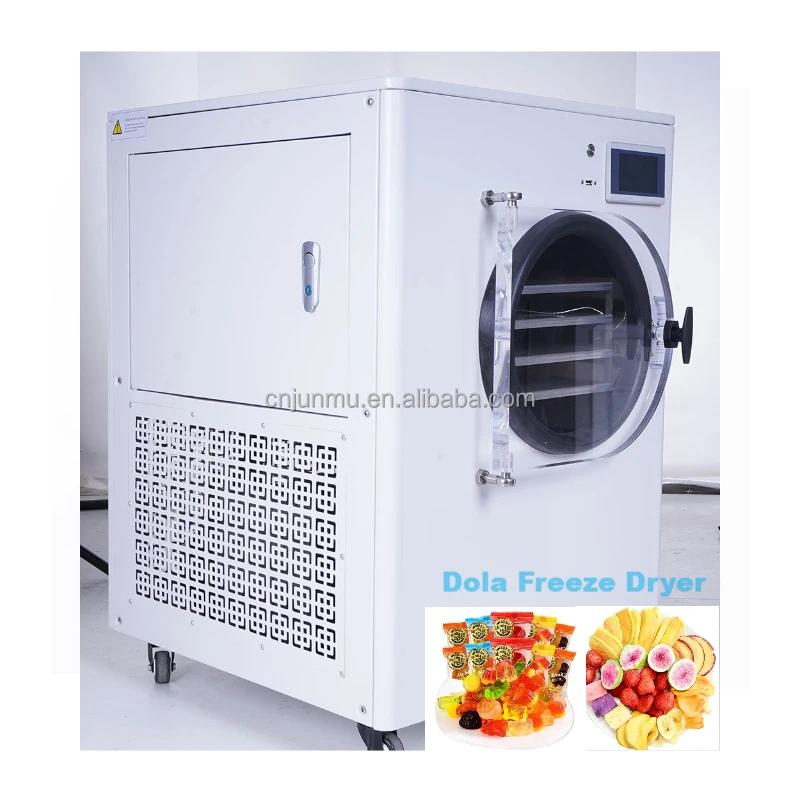 Vacuum Pump/ Small Lab Laboratory Home Use Vacuum Freeze Dryer Price Mini Lypholizers Machine Price