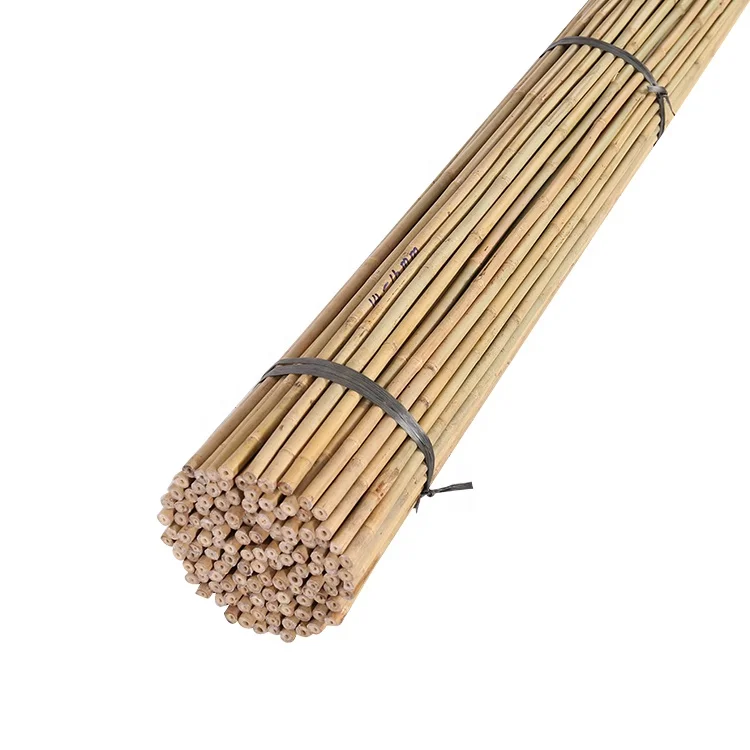 bamboo cane  for plant support, Dia.150cm, 14-16mm