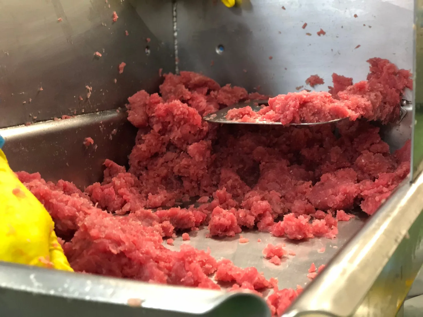  Продажа с завода замороженное мясо тунца для свежих