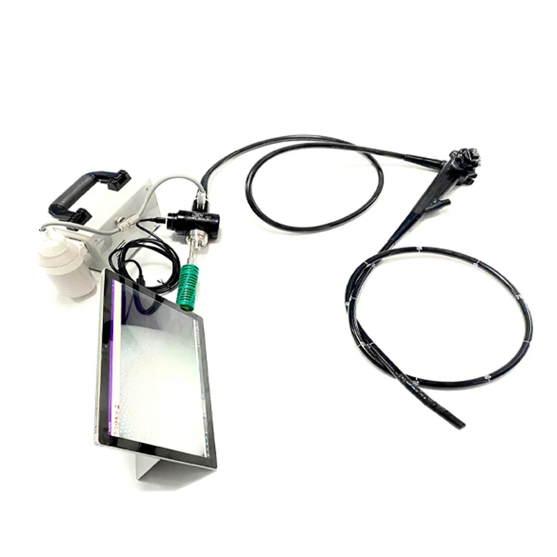 EUR PET Factory Price Flexible Endoscope Portable Endoscope Led Light Source Veterinary Instrument For Pet
