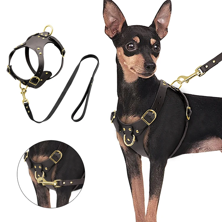 Custom Personalized PU Leather retractable Pet dog harness and leash  for small medium dogs pug beagle brown