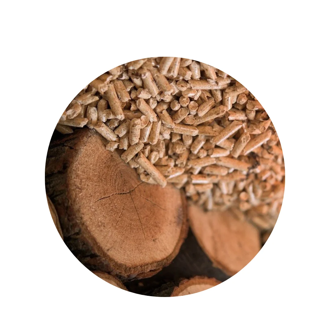 Agricultural Pine Wood Clumping Pellets Energy Wholesale Biomass Wood Pellets Burner for Boiler
