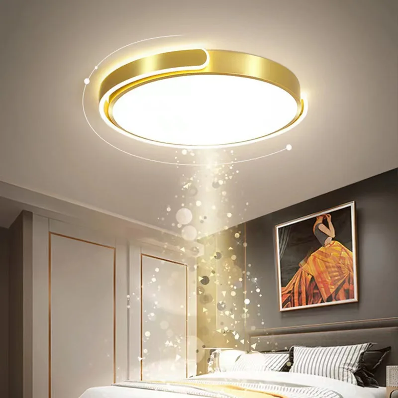 Modern LED Ceiling Lights Round Two Lights Warm Light for Bedroom, Dining Room, Hallway