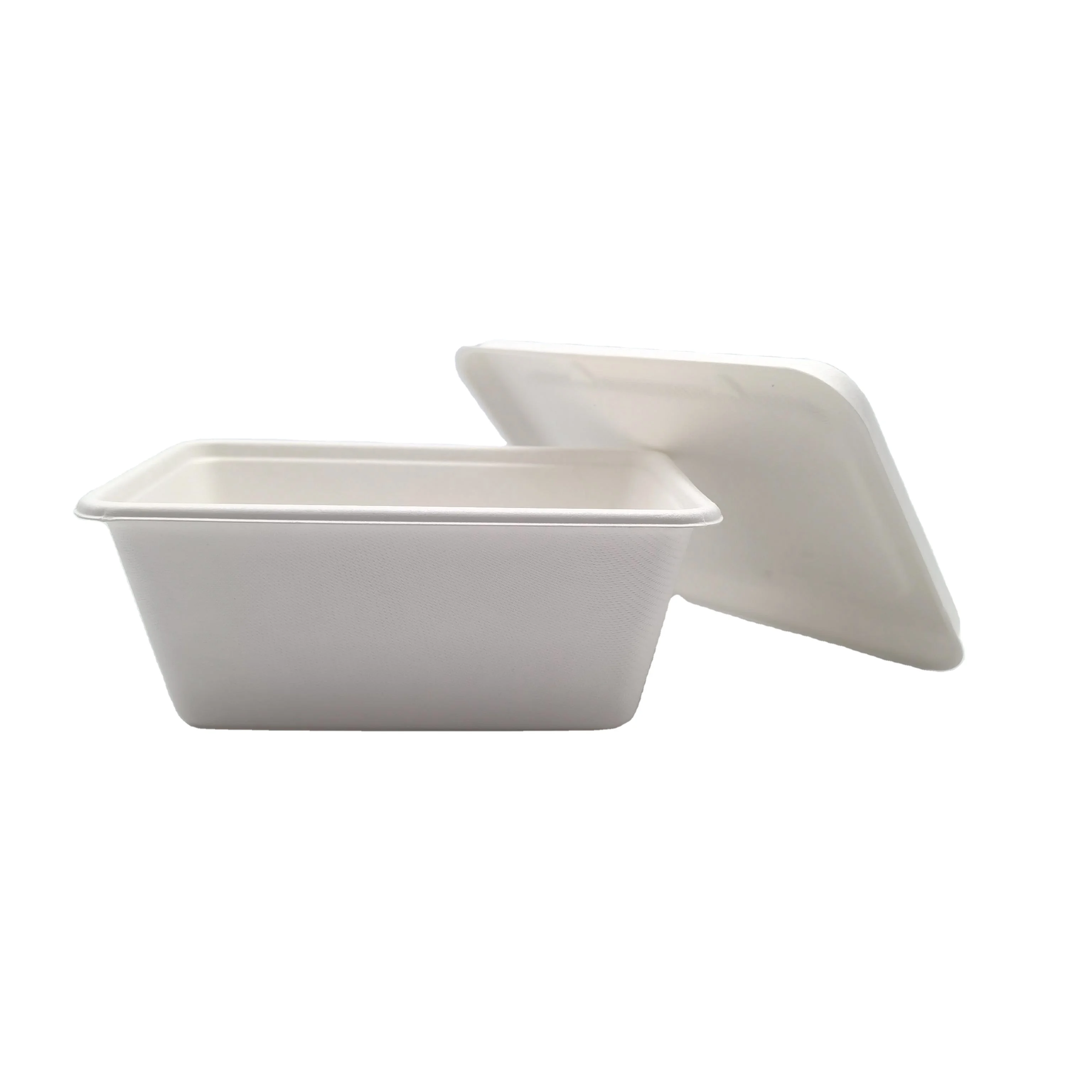 100% Compostable Biodegradable Sugarcane Bagasse Bento Box Bamboo Pulp Food Container