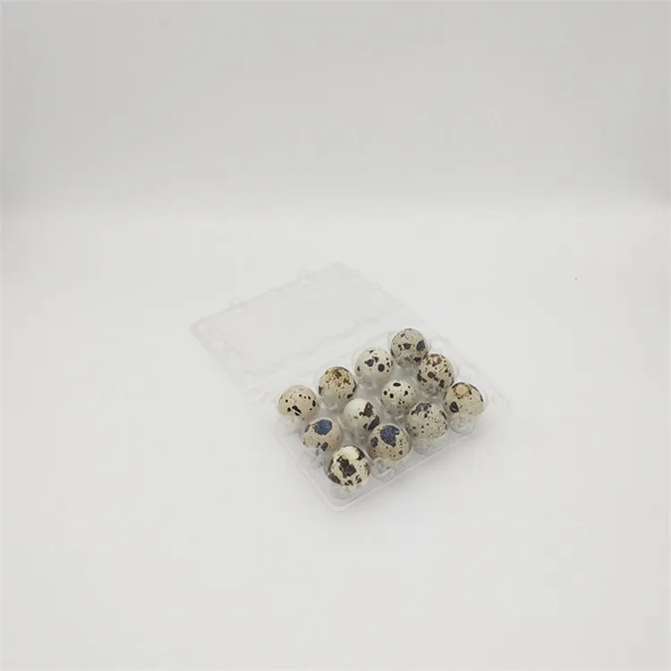 Одноразовый пластиковый лоток для упаковки Перепелиных яиц, 12 полостей