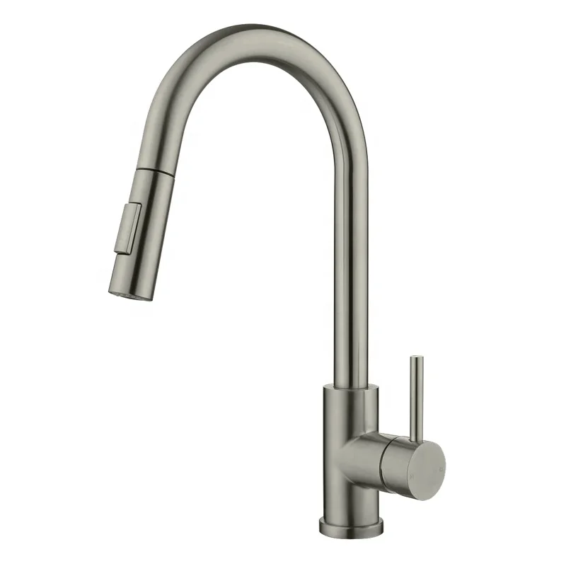 Morden Brushed Nickle Kitchen Faucet with Pull Down Sprayer Brushed Nickel High Arc Single Handle Kitchen Sink Faucet