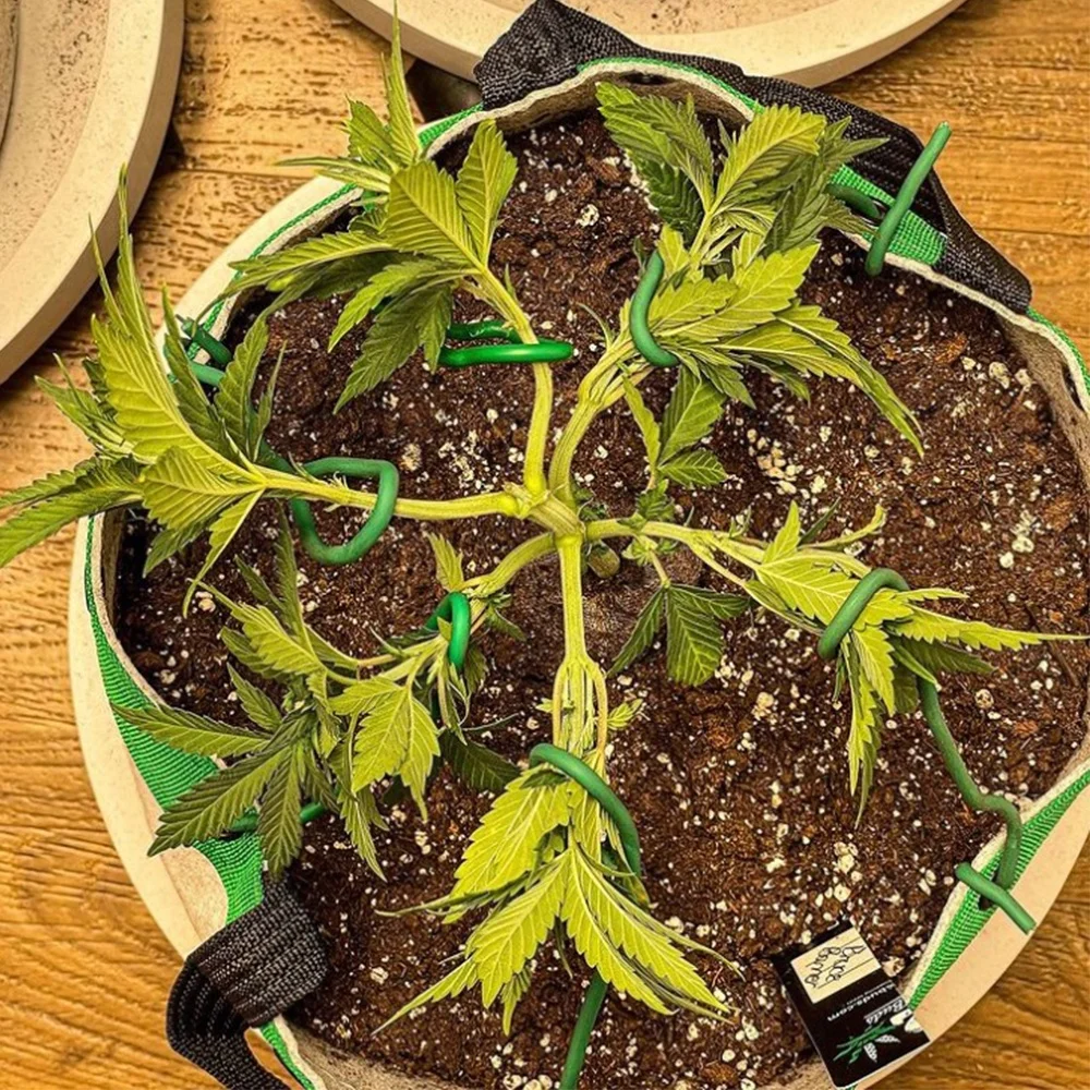 Бесплатные образцы, 5 упаковок, горшок для выращивания растений, 5 галлонов/19 литров, горшок из ткани, тяжелые нетканые мешки для выращивания из войлока