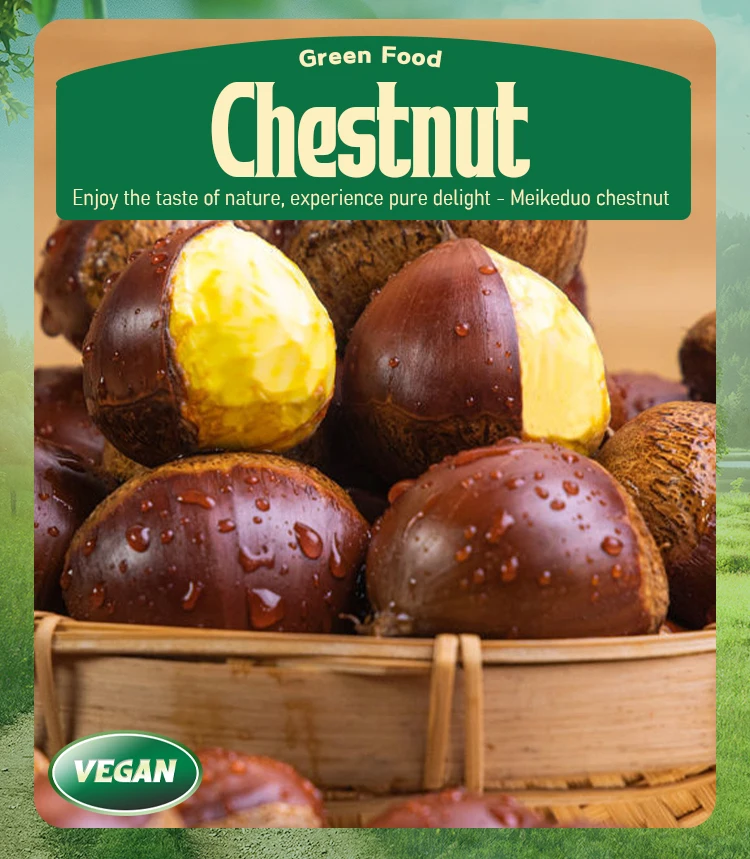 Bulk good quality New Crop chestnut Meikeduo China chestnuts Organic Chestnut