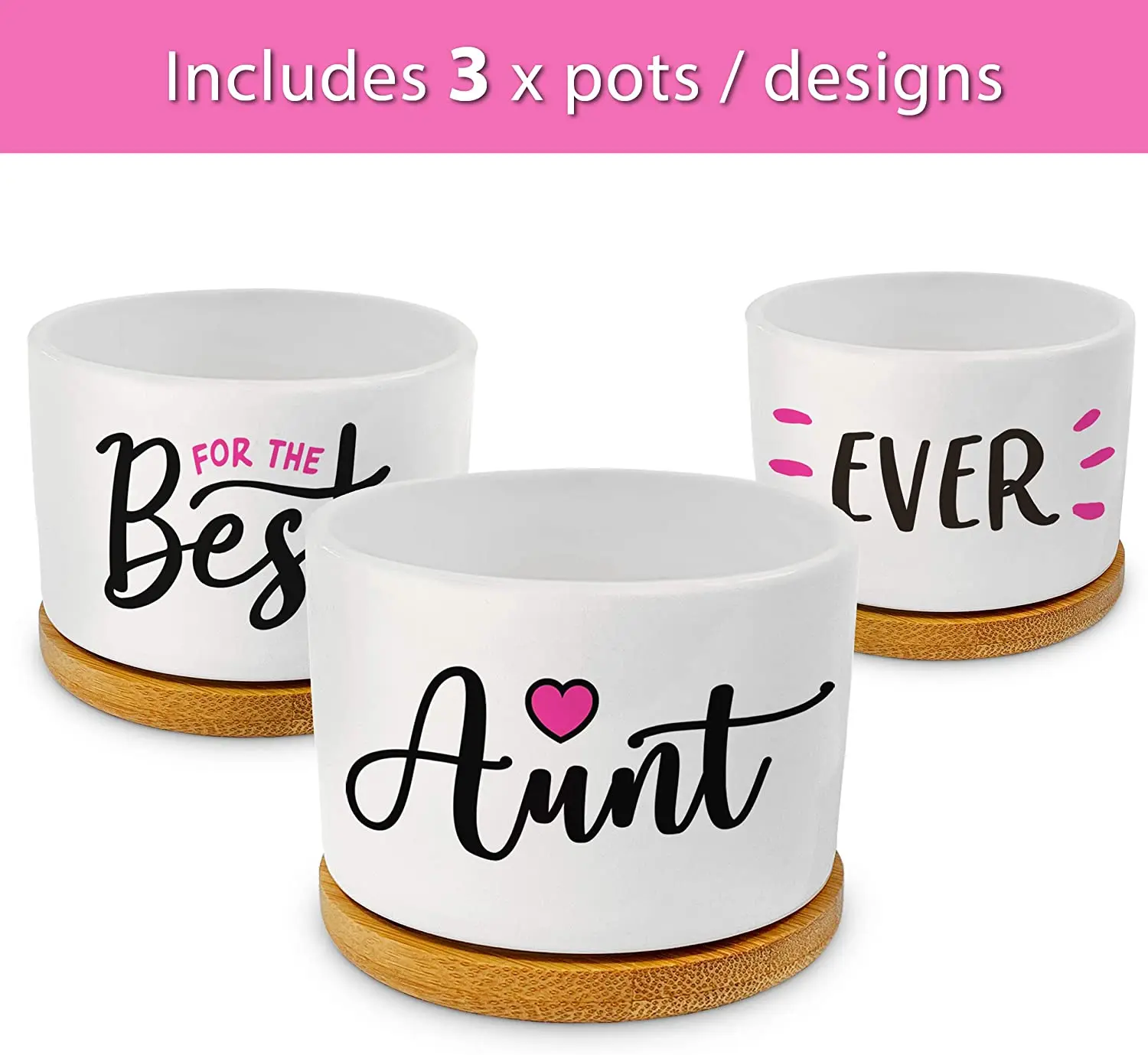 Custom Super Sweet Aunt Gift Our Pretty Best Aunt Ever Succulent Pots For Birthday or Christmas