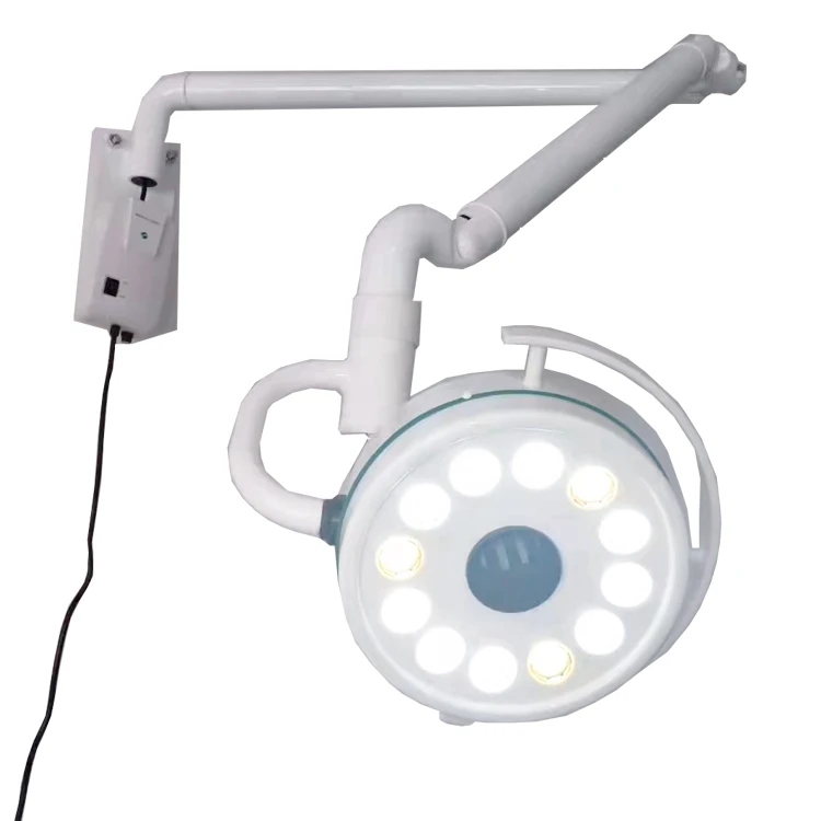 Wall-mounted medical examination lamp and surgical lamp for veterinary use in pet hospitals
