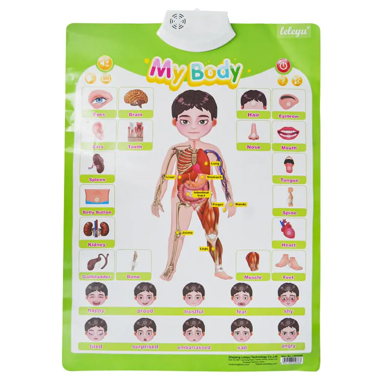 Custom Language Plastic Electronic Interactive Educational Toys Wall Chart ABC Number Alphabet Knowledge Talking Posters Chart