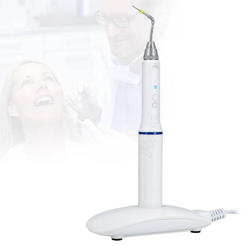 Dental Obturation Endo System Endodontic Heated Pen with 2 Tips Oral Care Dentist Tools