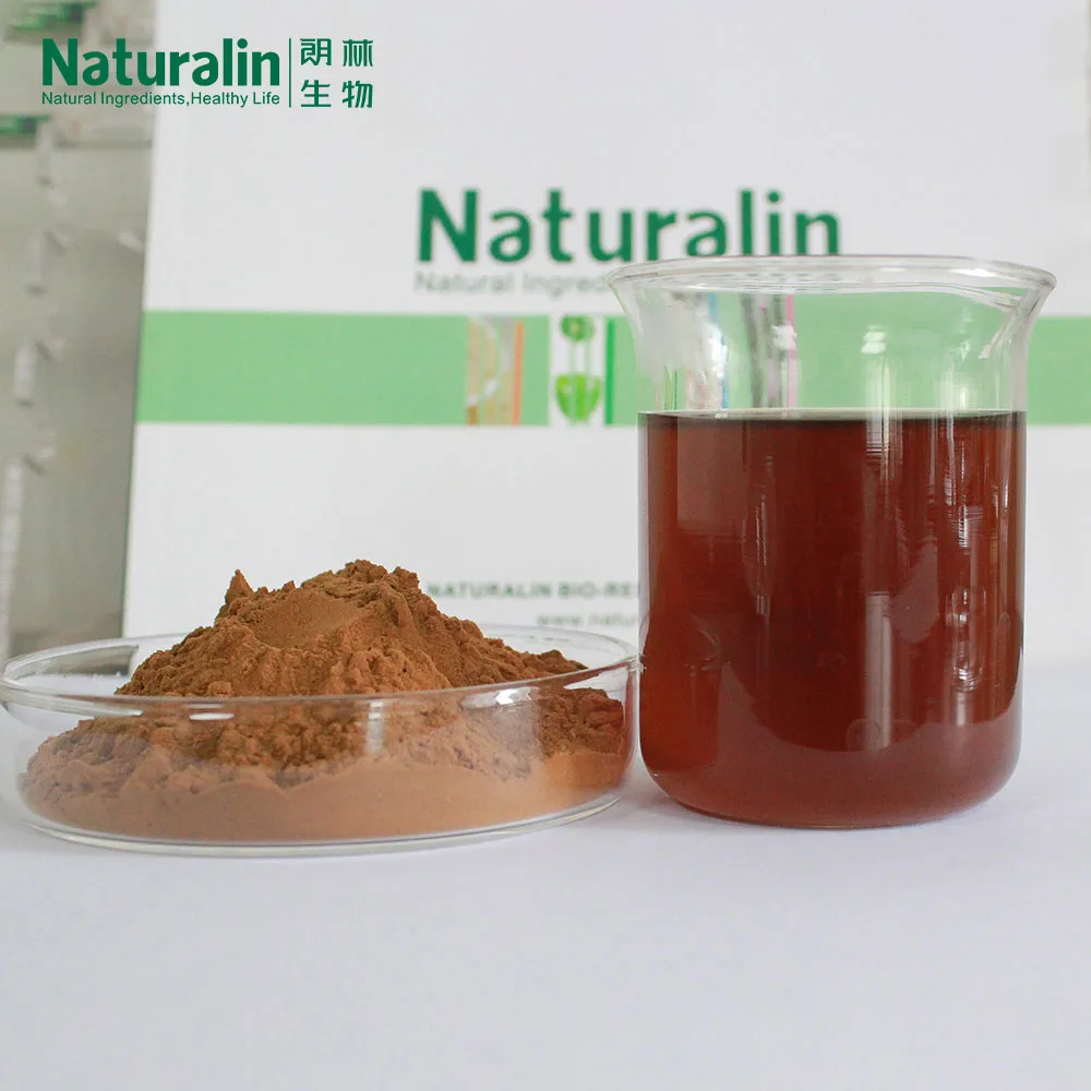 Naturalin  High Quality Echinacea Purpurea (Linn.) Moench Plant Extract 4% Polyphenols UV Tested Echinacea Extract