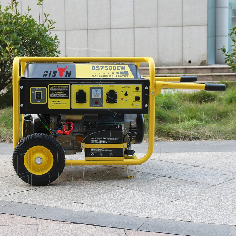 BISON China 15Hp 7.5Kva Ohv Air Cooled 6000W King Max Gasoline Generators