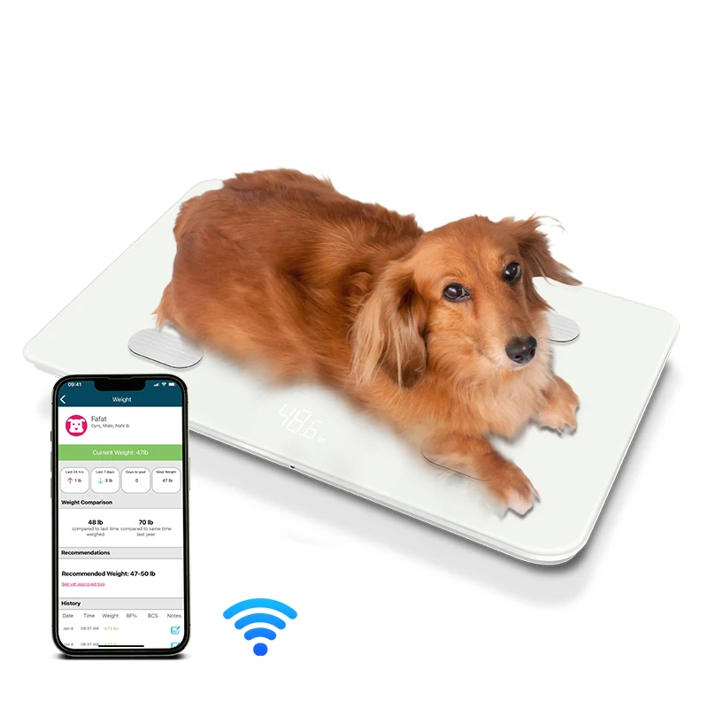 Большой Размер бытовой Wi-Fi 30 кг цифровые электронные весы для взвешивания собак кошек домашних животных умные жирные