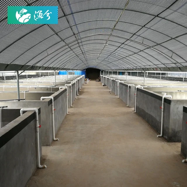
Aquaculture tanks for large circulating water shrimp farm 