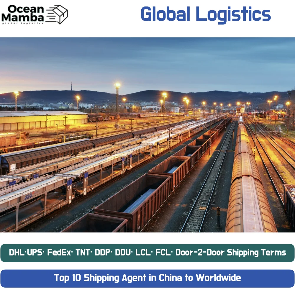Ocean Mamba Freight Forwarder China to Pakistan India USA Shenzhen freight forwarder shipping agent