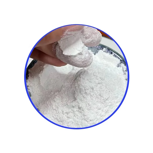 Customized Active Best Quality High Chemical Resistance Talcum Powder for Sale 325 mesh