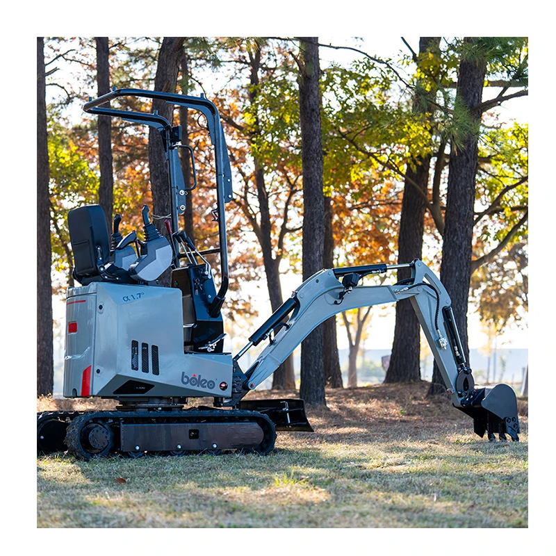 Boleo Engineering Construction Machinery 360 Degree Rotation Mini Excavator Mini Diggger