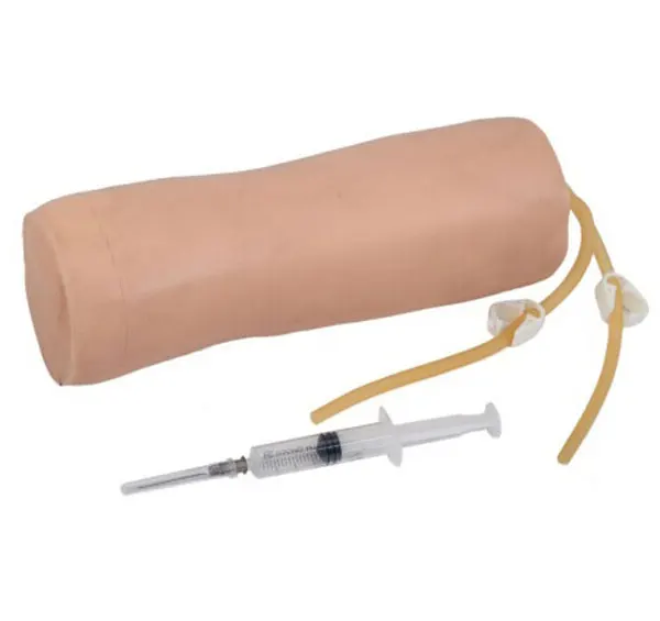 Сменное ощущение для колледжа в больничной клинике-настоящая продвинутая модель обучения венепунктуре локтя