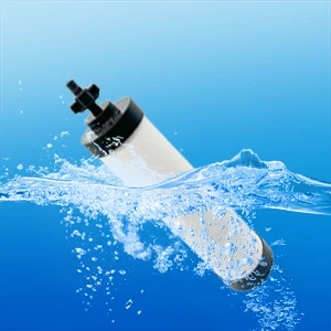 Ceramic Water Filter Replacement compatible for Countertop Gravity Filtration System Elements