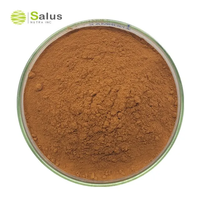 Top Quality Instant Black Tea Extract Powder