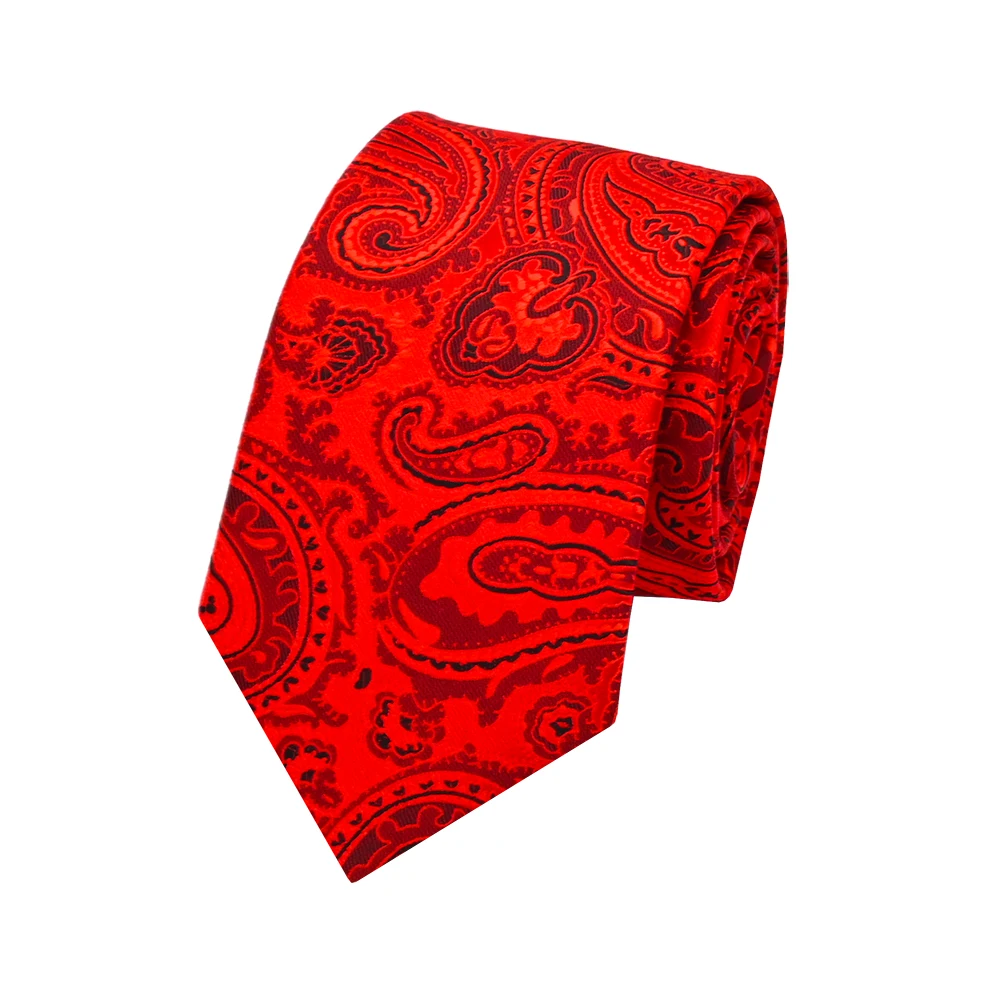 YiLi Microfiber Polyester Woven Paisley Floral Jacquard Tie